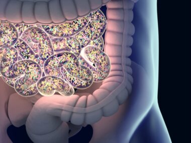 gut microbiota