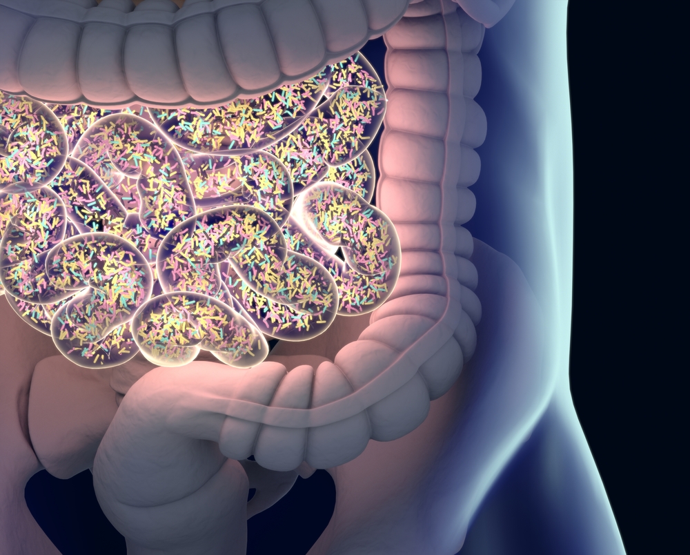 gut microbiota