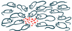 dental stem cells | Sjogren's Syndrome News | illustration of a group of laboratory mice