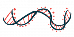 An illustration of a strand of DNA shows its ribbon-like structure.
