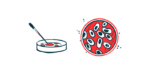 salivary glands and Sjogrens | Sjögren’s Syndrome News | petri dish illustration