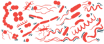 An illustration shows an assortment of bacteria.