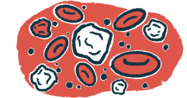 An illustration of white blood cells, a type of immune cell, among red blood cells.