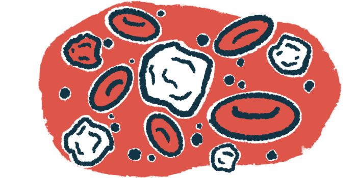 An illustration of white blood cells, a type of immune cell, among red blood cells.