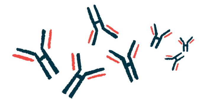 Illustration of Y-shaped antibodies binding to small antigen fragments, representing immune system activity